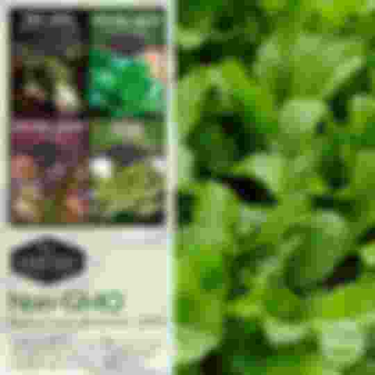 Non-gmo non-hybrid heirloom mustard greens seeds
