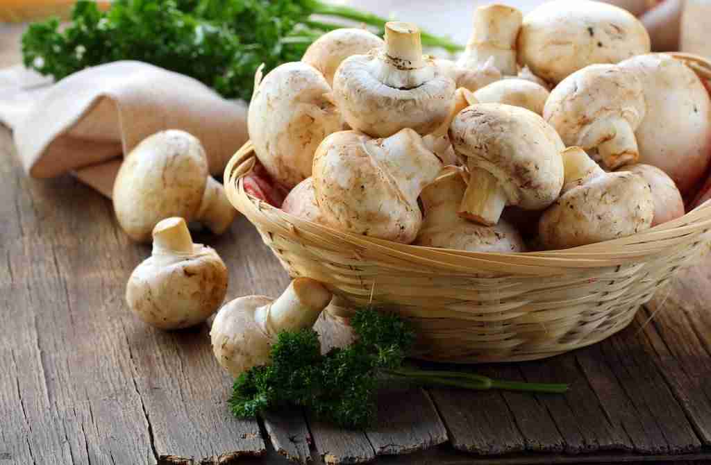 Button Mushrooms boost your immune system