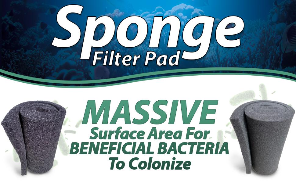 Sponge Filter Pad DIY Aquatic Experts