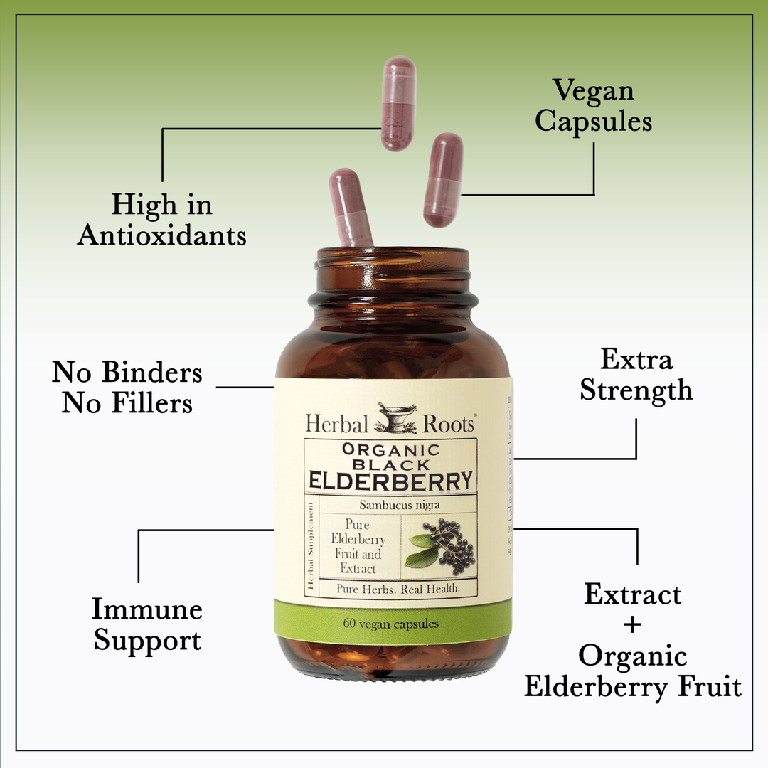 Bottle of Herbal Roots Black Elderberry with three pills spilling out of the top of the bottle. There are several lines pointing to the bottle and the capsules. The lines say High in Antioxidants, Vegan Capsules, Extra Strength, No Binders or fillers, Immune Support and Extract plus Organic elderberry fruit..