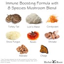 image showing each of the following mushroom species with their name under each picture; turkey tail, lion's mane, cordyceps, snow fungus, reishi, shiitake, maitake, chaga. Top of the image says Immune boosting formula with 8 species mushroom blend.