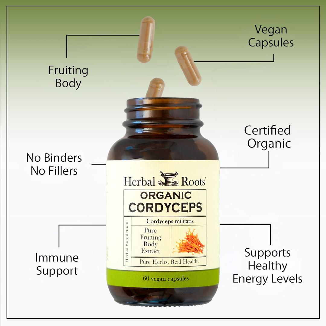 Bottle of Herbal Roots Organic Cordyceps with labeled benefits on a green background. Product benefits include fruiting body, vegan capsules, no binders, no fillers, certified organic, immune support, supports healthy energy levels.