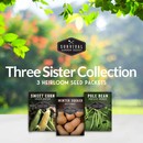 Three Sisters Seed Collection - 3 heirloom companion plants