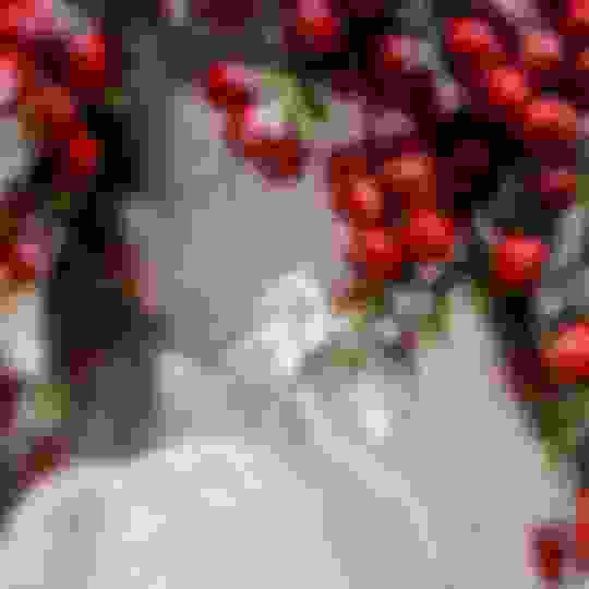 The Jackpot Candles Winner's Circle