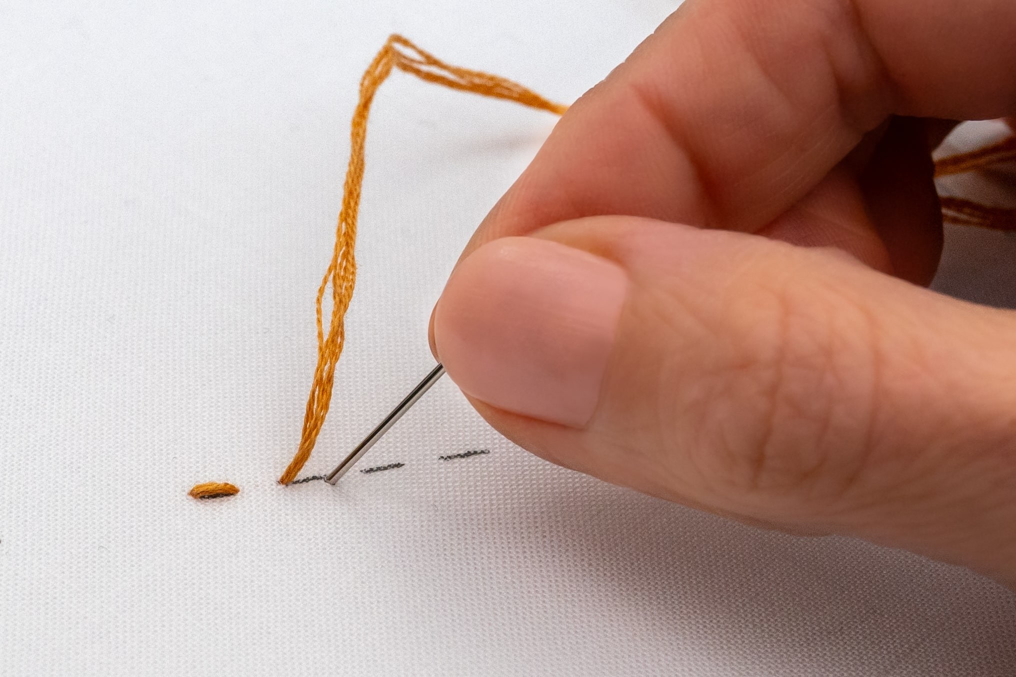 A needle pokes down a stitch-length ahead.