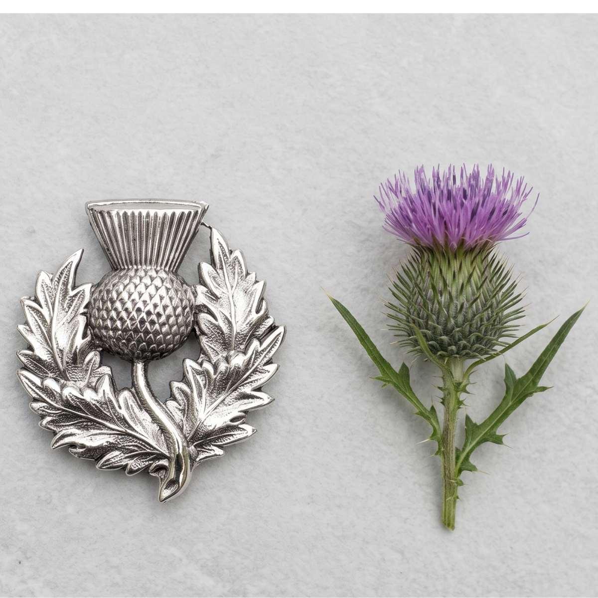 Image of Silver Medallion & Real Thistle