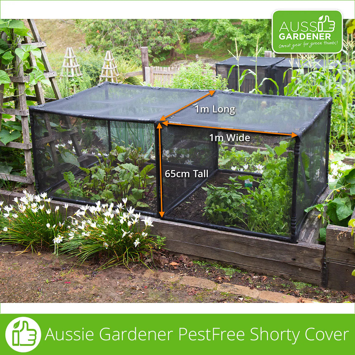 PestFree Shorty Cover measuring 1m × 1m × 65cm for raised garden beds.