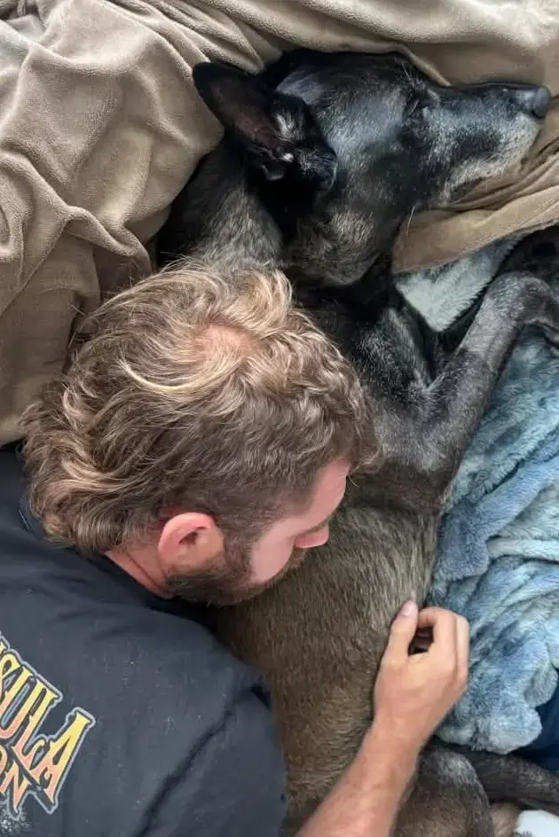 K-9 Breston