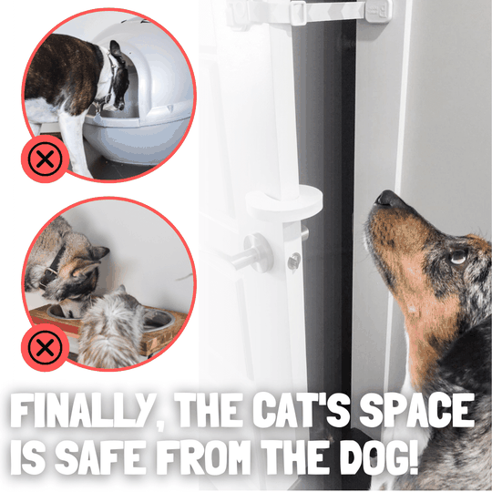 Keeps Dog Out of Cat Food and Litter Box and Let Cat In with Door Budd