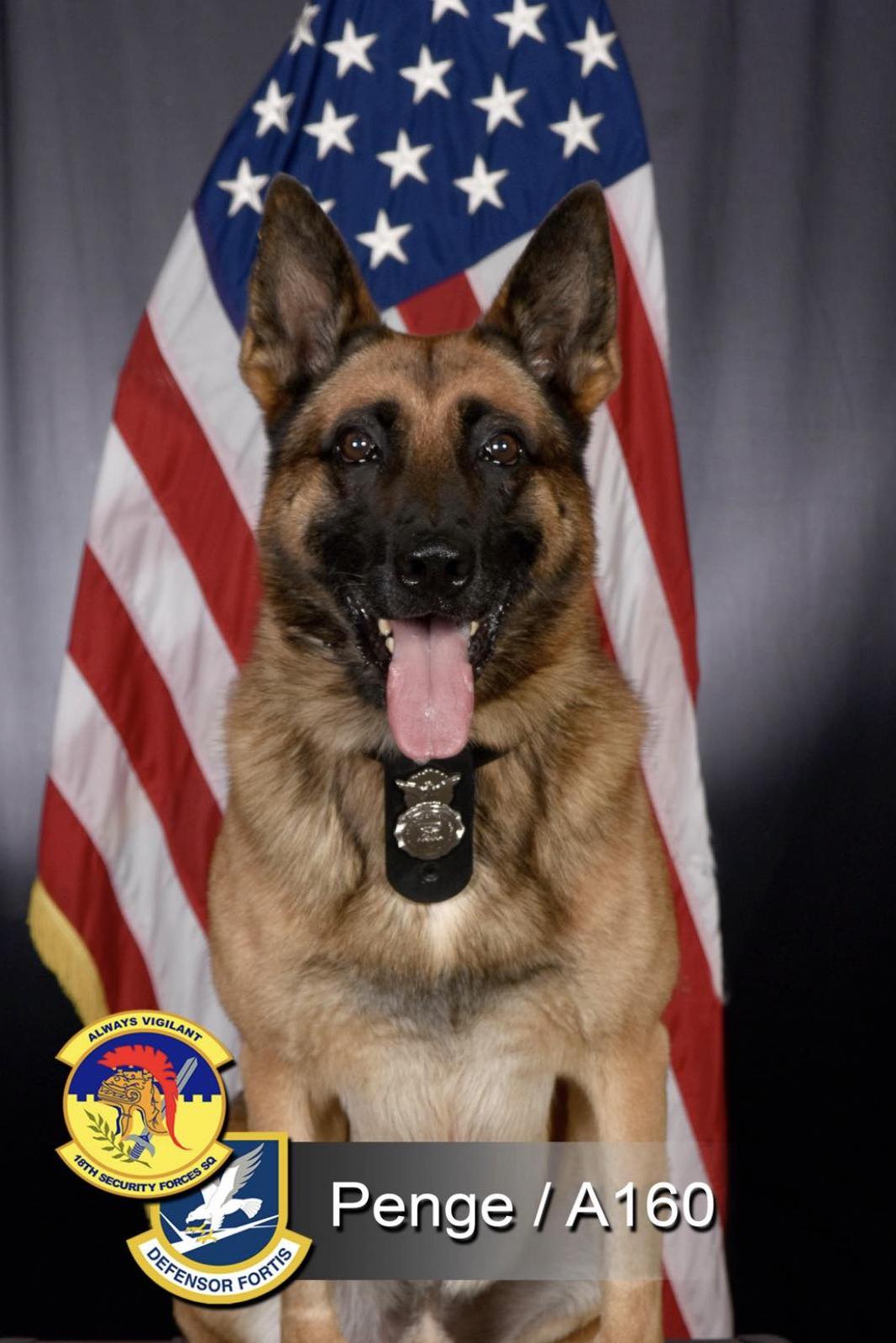 Penge Riot Welcome MWD Penge #376 – Project K-9 Hero