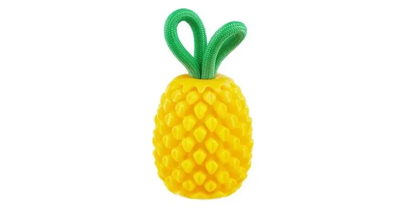 Outward Hound Dental Pineapple 2-in-1 Interactive Dog Chew & Treat Dispensing Toy, Medium, Yellow