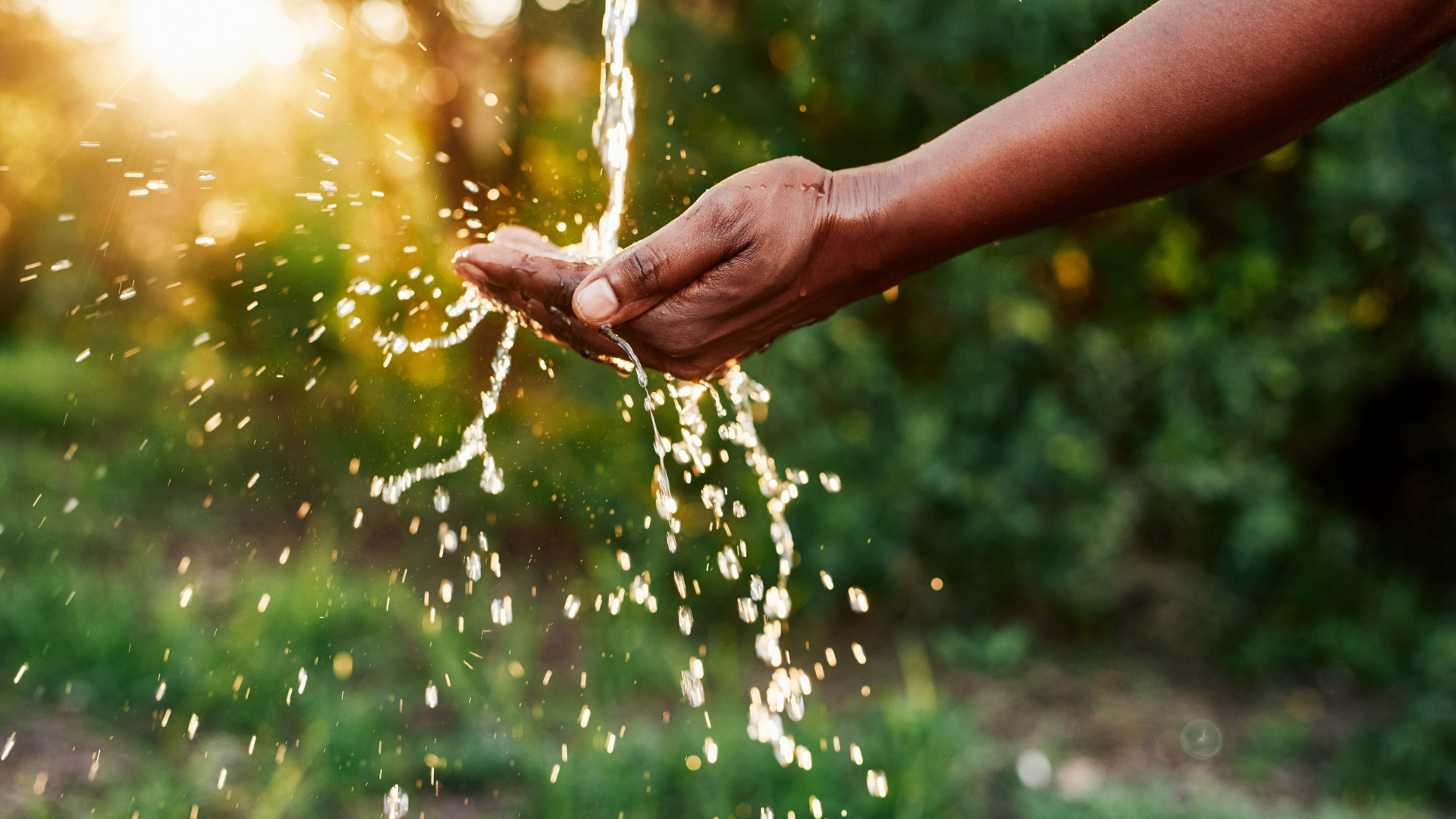 a person collecting water in their hands