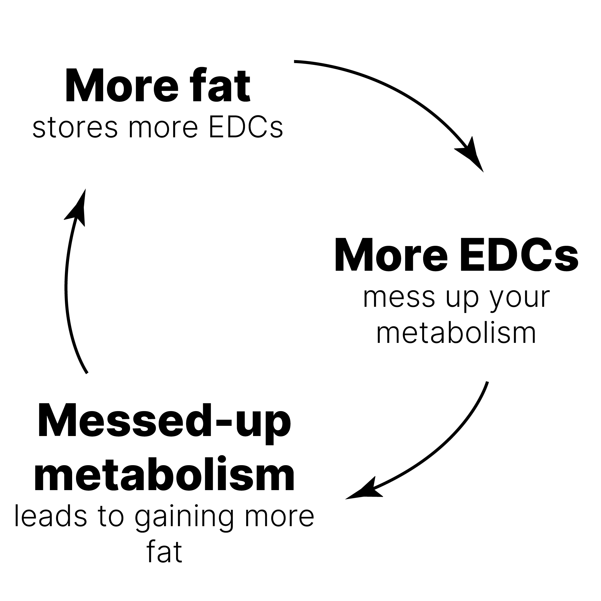 Fat gain cycle formed by EDCs and messed up metabolism