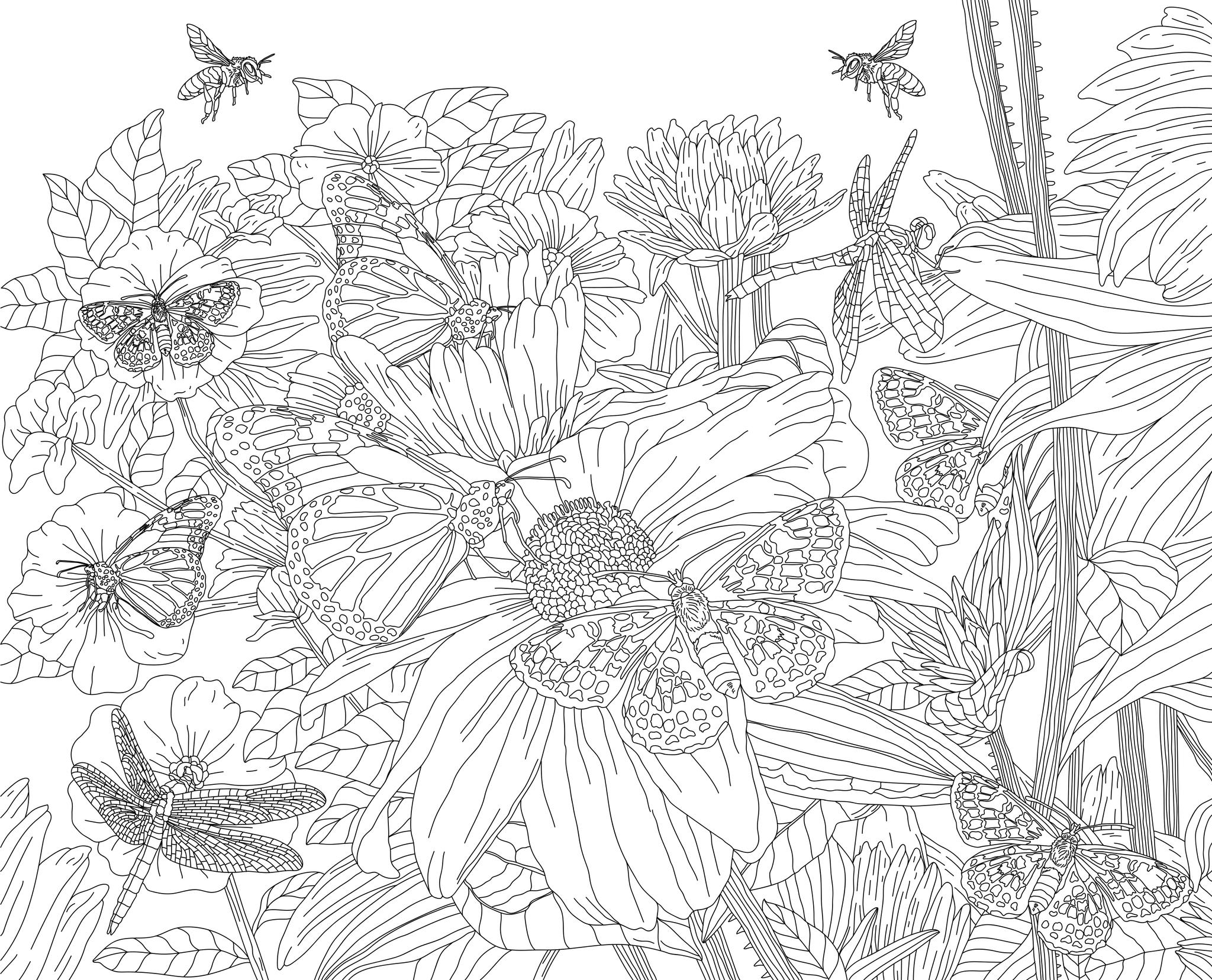 Freebie Friday Celebrations 06-25-21 Wildflowers