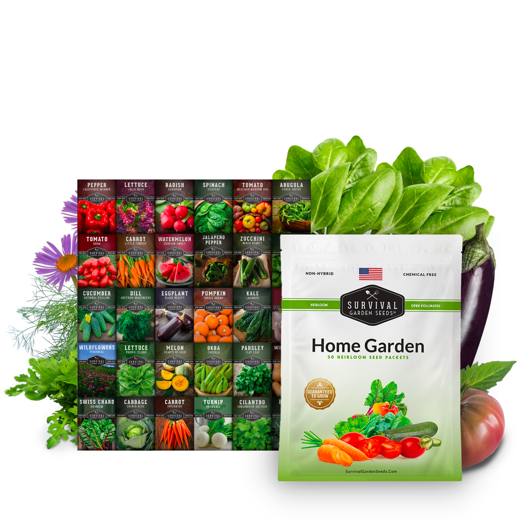 Home Garden Seed Collection - 30 Packs of Seeds