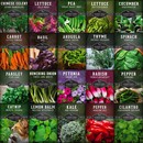Apartment seed collection - 20 heirloom seed packets for container gardens