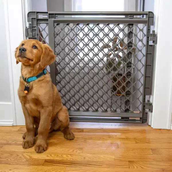 North States Supergate Pet Gate