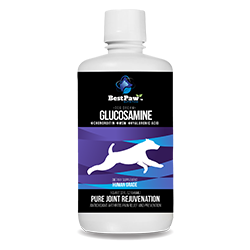 Best Paw Nutrition Dog Dream Glucosamine