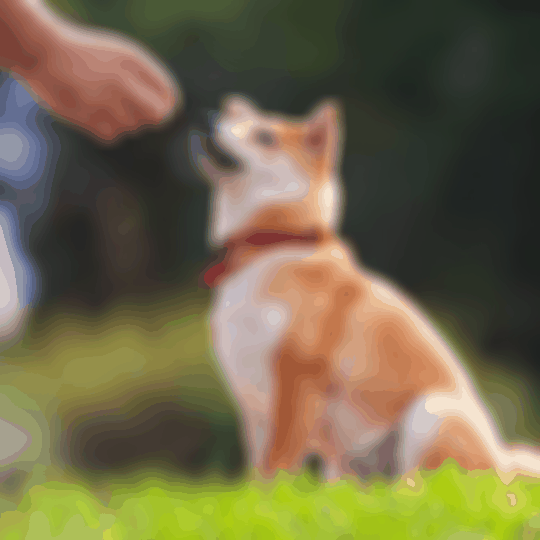 Is Dog Training Worth It? Door Buddy