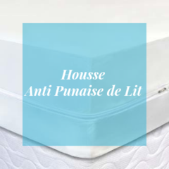 Traitement Punaise De Lit, Housse, Fumigène & Insecticide – Safelit