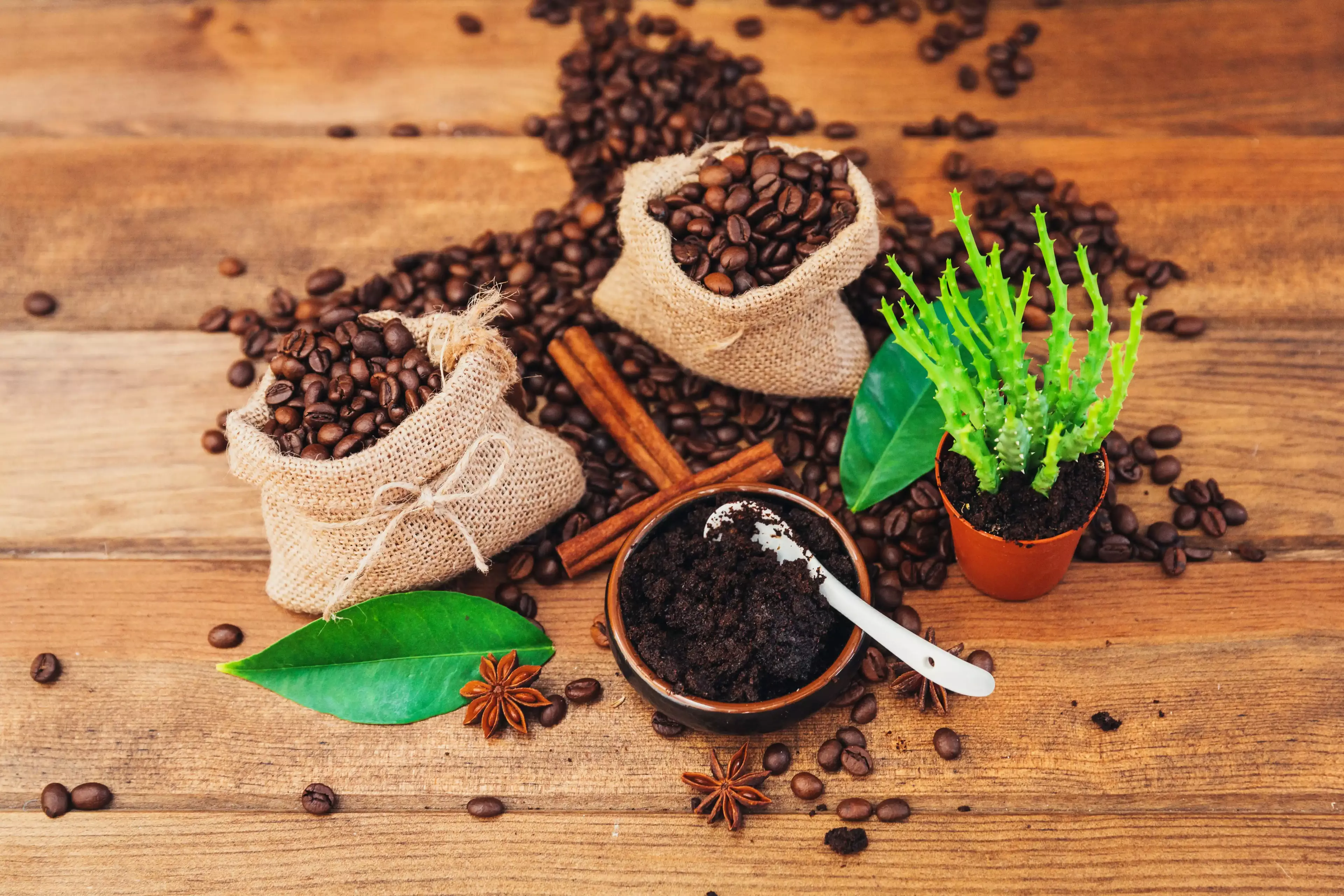 Coffee grounds and beans in burlap bags with spices and a small plant arranged on a wooden table.