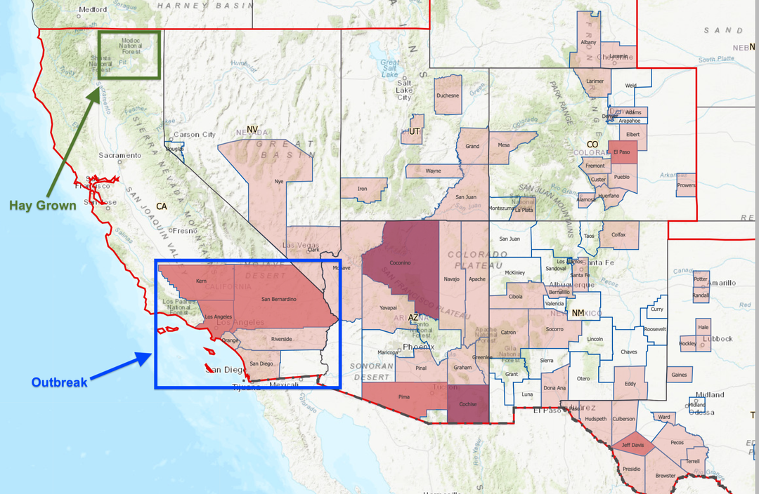 RHDV2 Wild Cases Map - Feb 2021