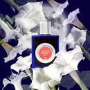Midnight Datura bottle in moonlit white-flower editorial artwork