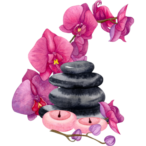 Watercolor illustration of hot stones and pink flowers.
