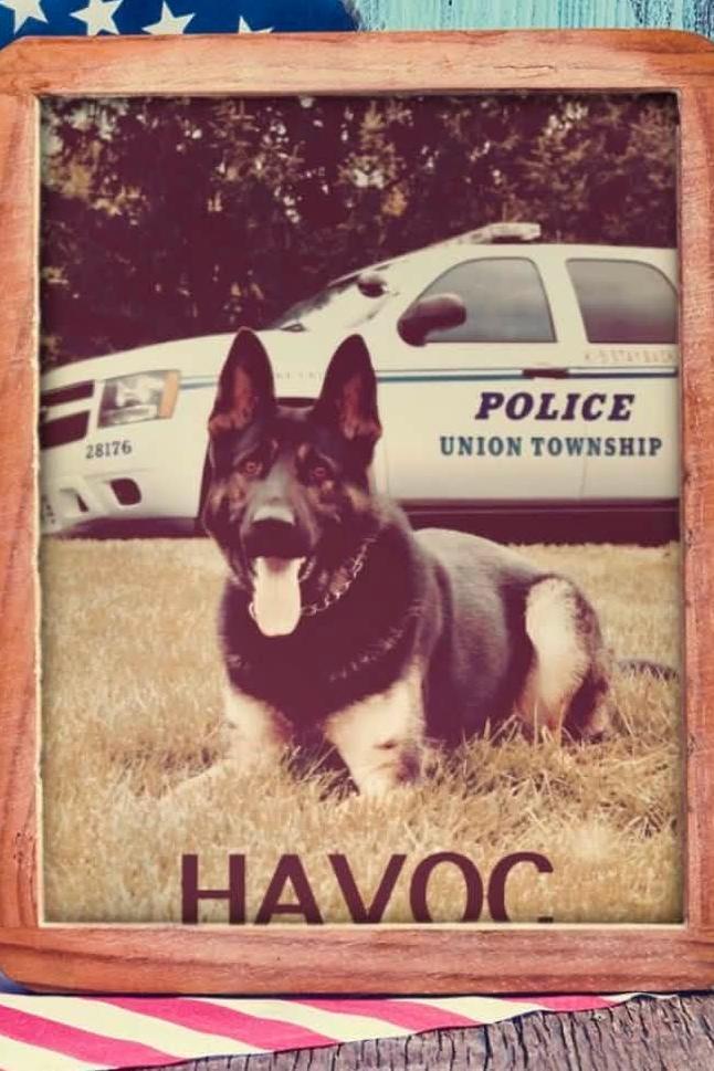 k9 havoc in a framed photo