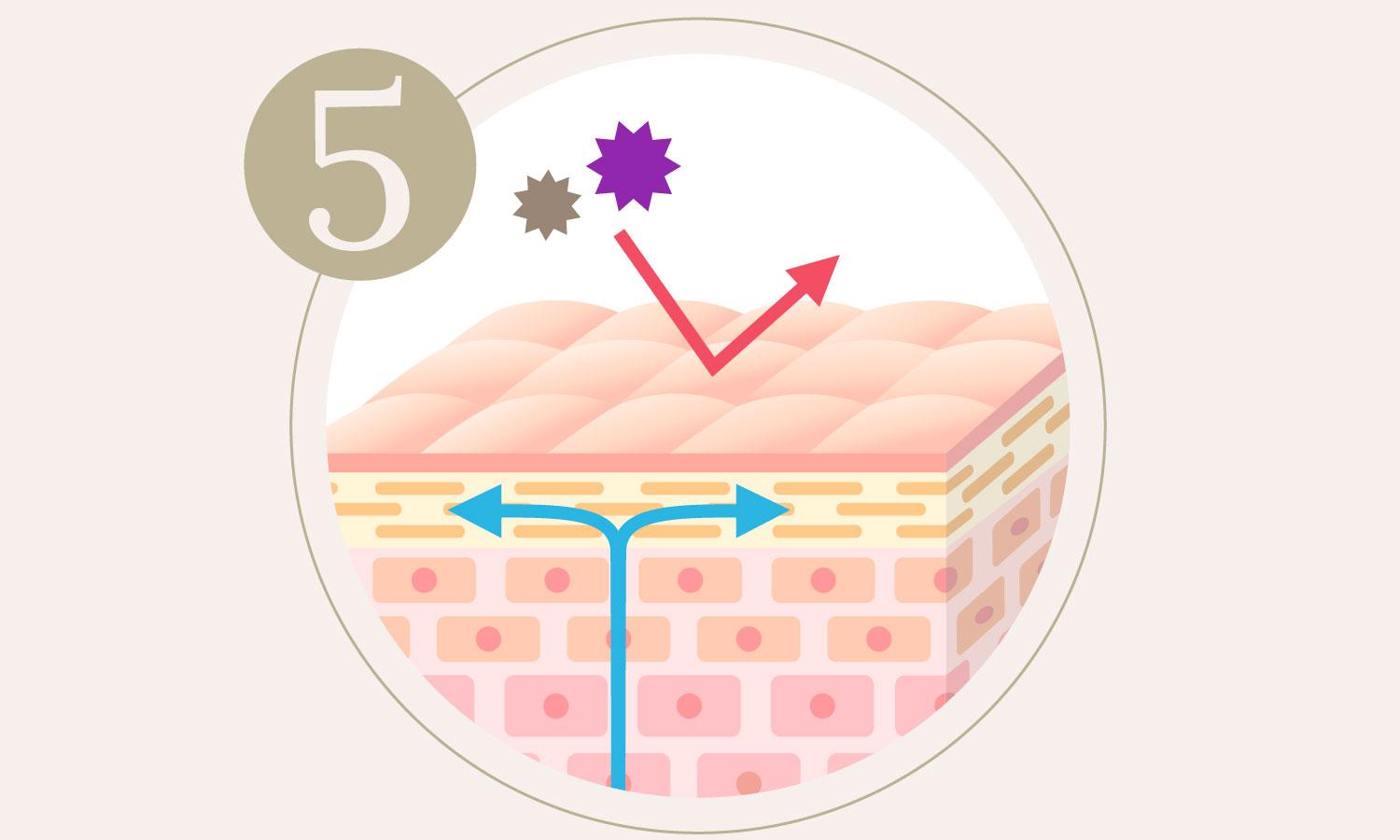 Healthy skin barrier