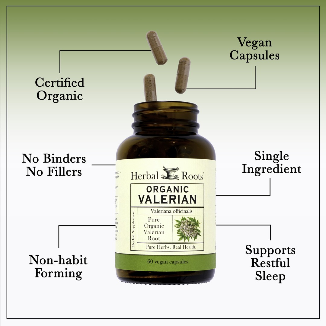 Bottle of Herbal Roots Organic valerian with three pills spilling out of the top of the bottle. There are several lines pointing to the bottle and the capsules. The lines say Certified Organic, Vegan Capsules, Single ingredient, No Binders or fillers, Non-habit forming and supports restful sleep..