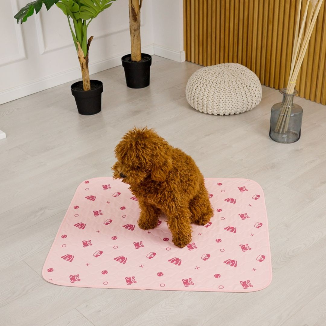 Dog sitting on a pink potty pad