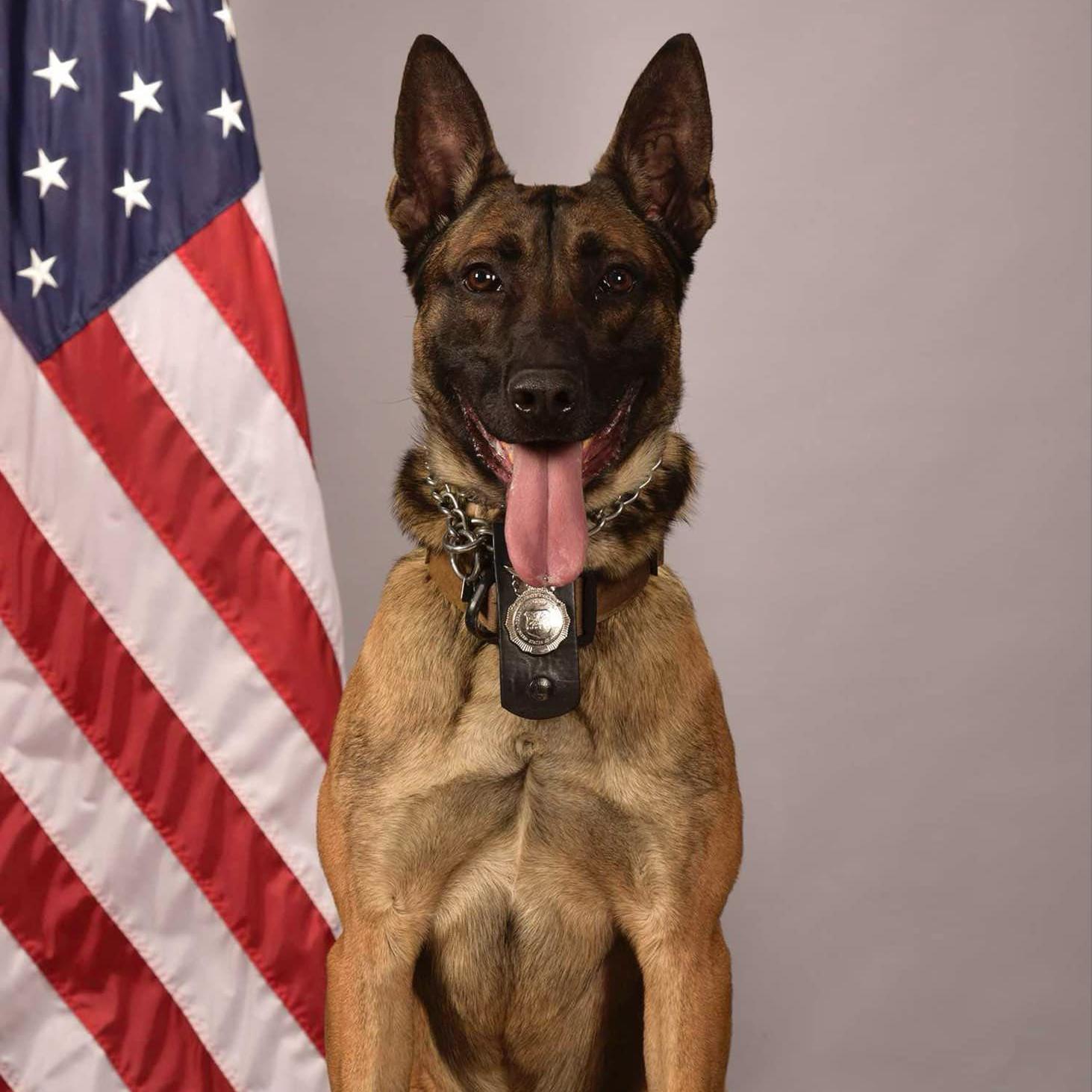 mwd Rudy with flag