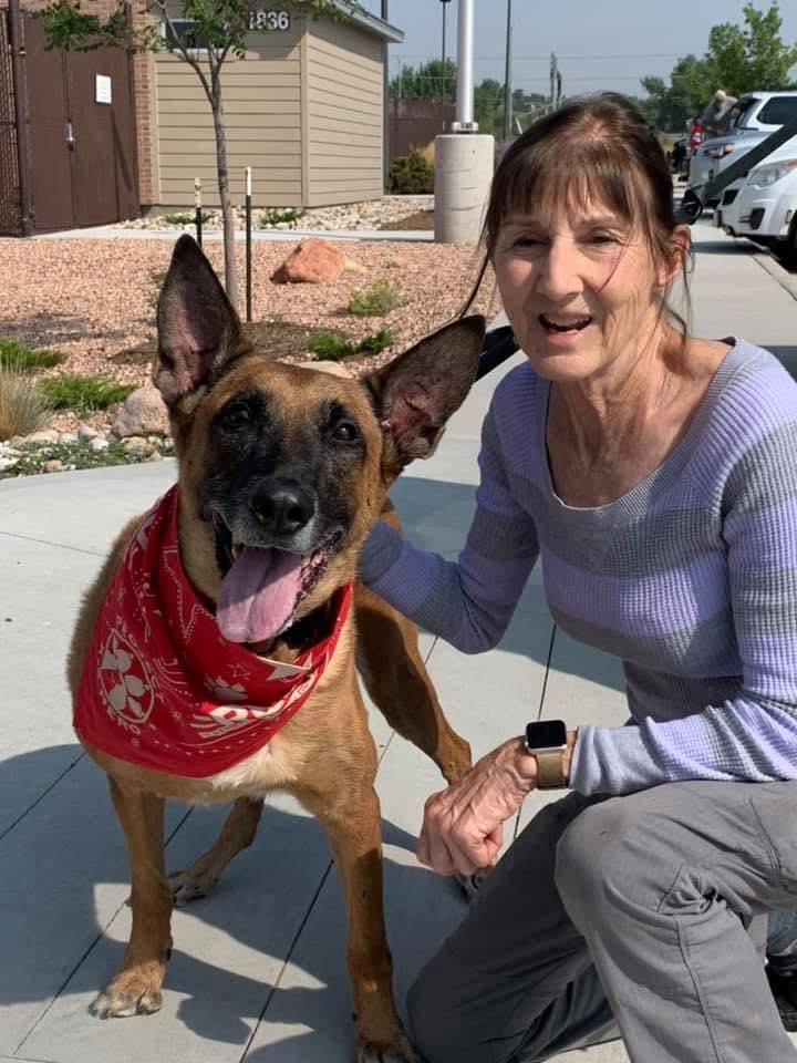 k9 uumbro and shirley