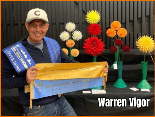 Warren Vigor Winning