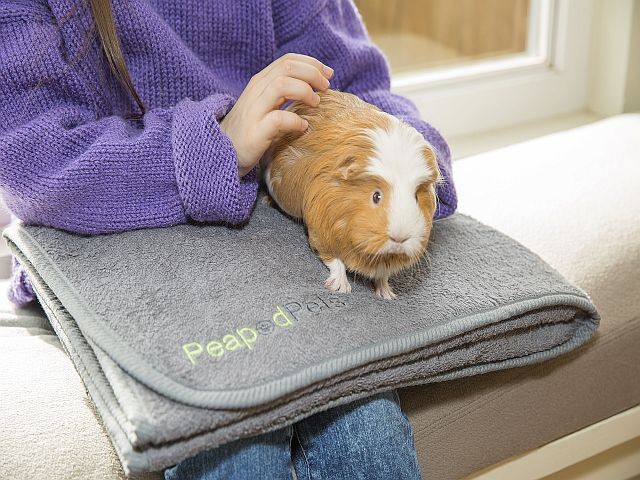 PeapodMats for guinea pigs