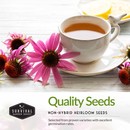 Quality non-hybrid heirloom herb garden seeds