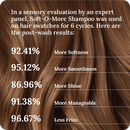 SOFT-O-MORE SHAMPOO - More sfotness / Smoothness / shine / manageable and frizz free