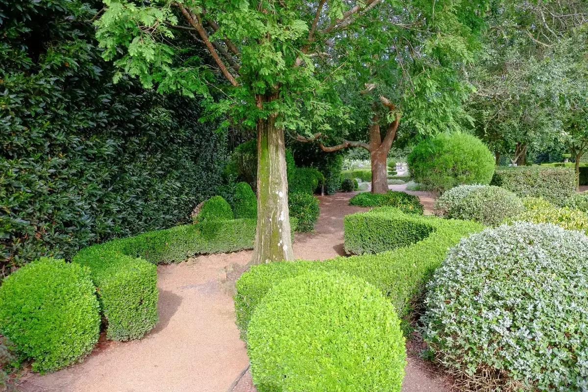Manicured garden path with clipped hedges, shrubs and mature trees.