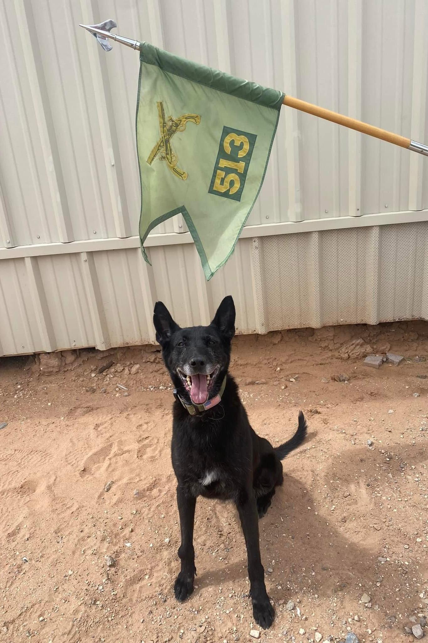 mwd zera