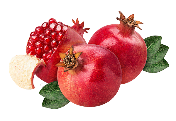 Punica Granatum (Pomegranate) Peel Extract