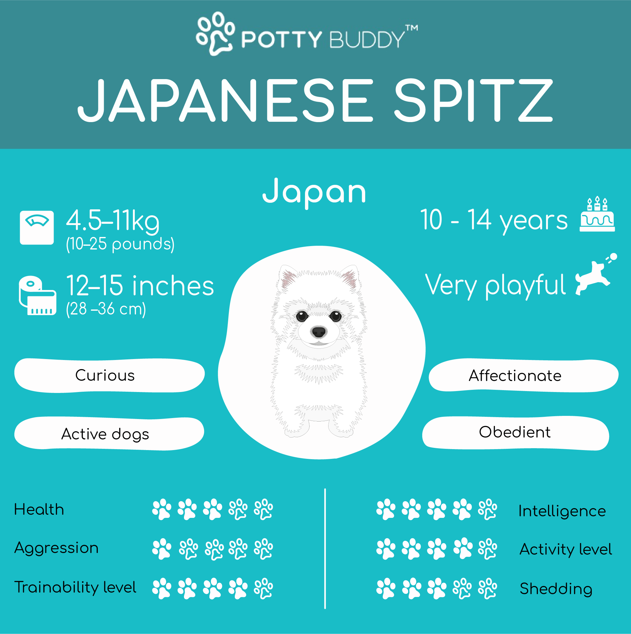 Characteristics of the Japanese Spitz in One Picture