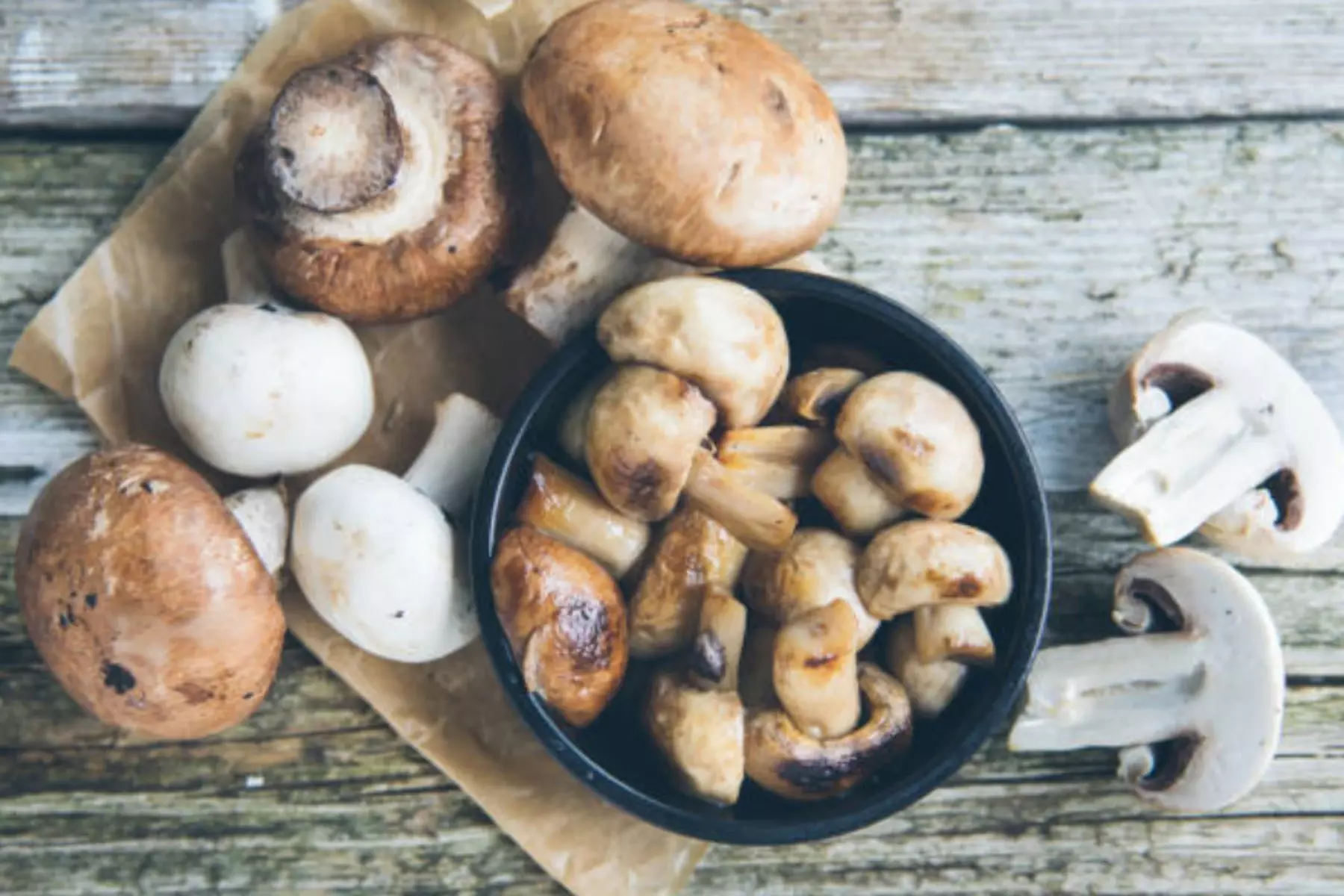 Mushroom growing success - five beautiful brown-capped edible mushrooms with white stems clustered together in natural forest substrate, demonstrating successful home mushroom cultivation for beginners