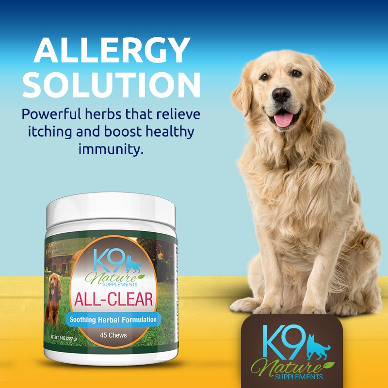 all clear dog allergy treats