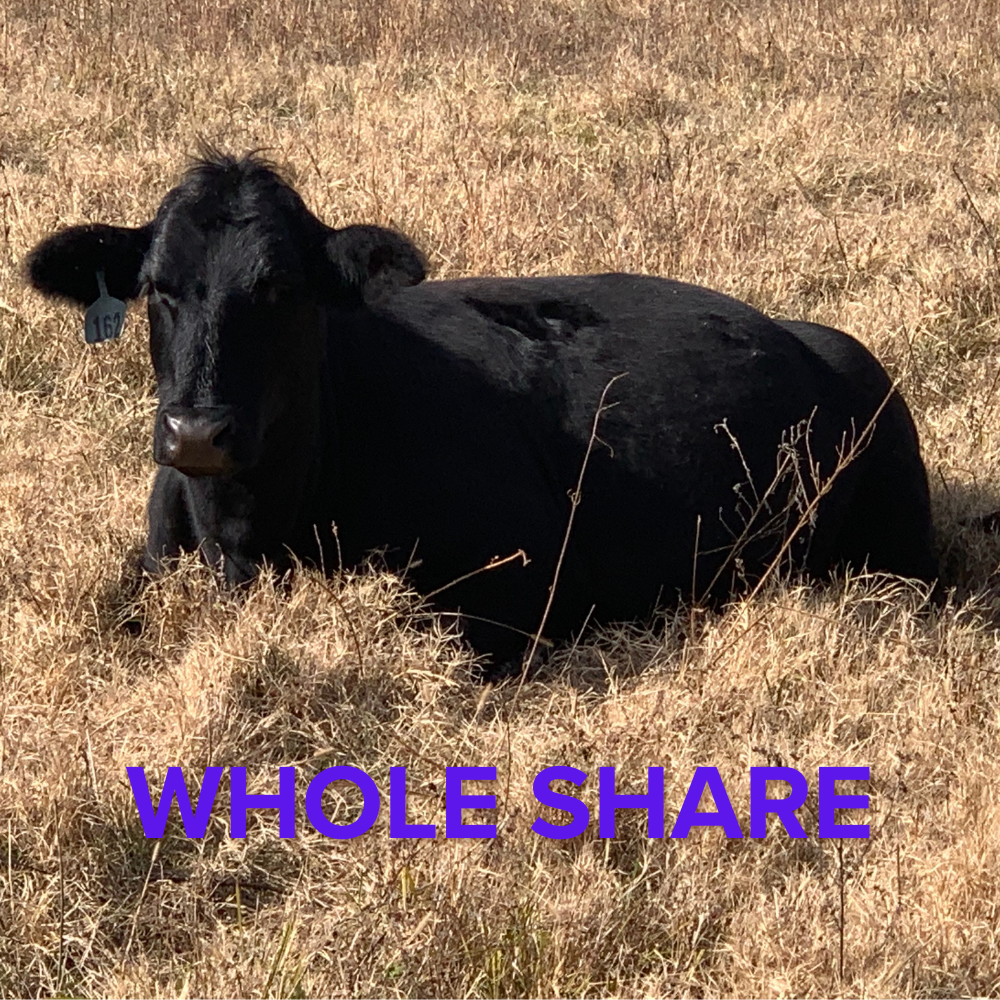 Whole Beef Deposit