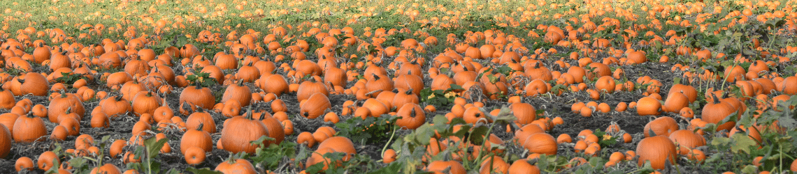 Teraganix coyote canyon farms pumpkin case study ag-1000
