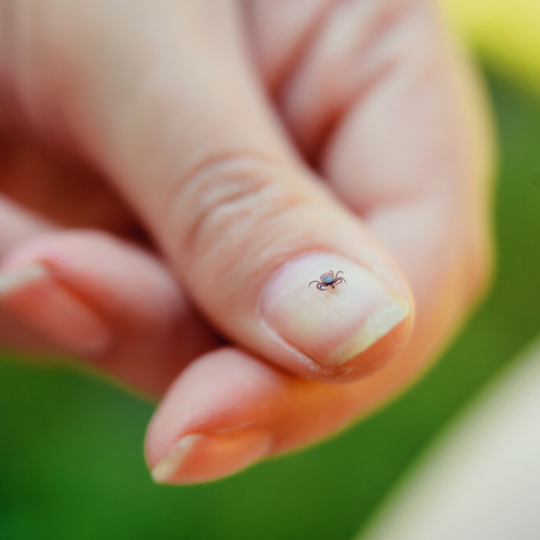 Electra Avellan models for SOCO Botanicals, Austin Monthy review for SOCO Botanicals