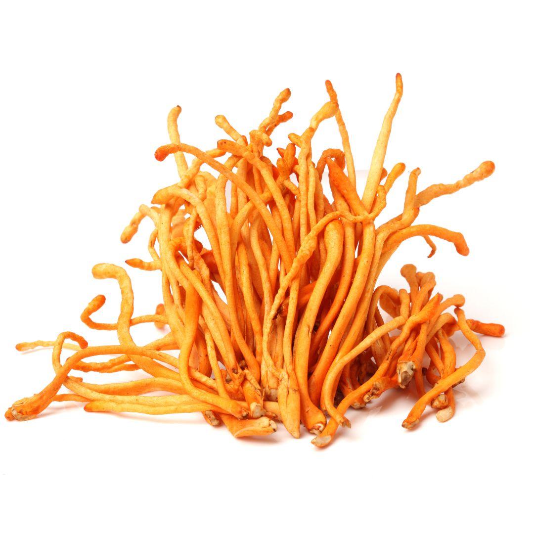 Shallow wooden box with a variety of mushrooms