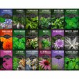 medicinal herb seed collection