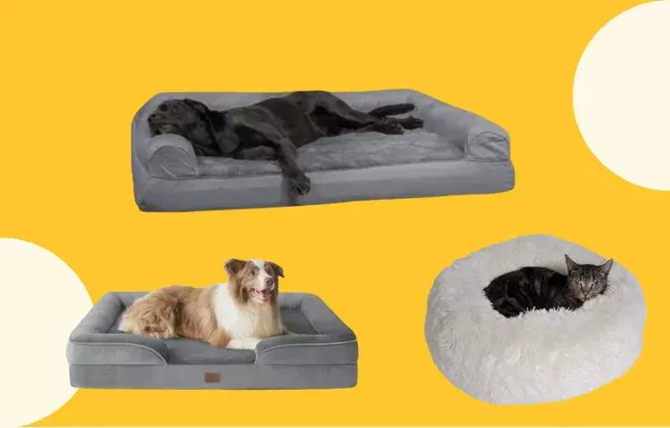 dog bed black friday deals